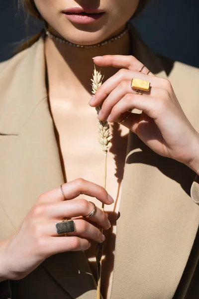 Cropped View Woman Beige Blazer Holding Wheat Spikelet Dark Grey — Stock Photo, Image