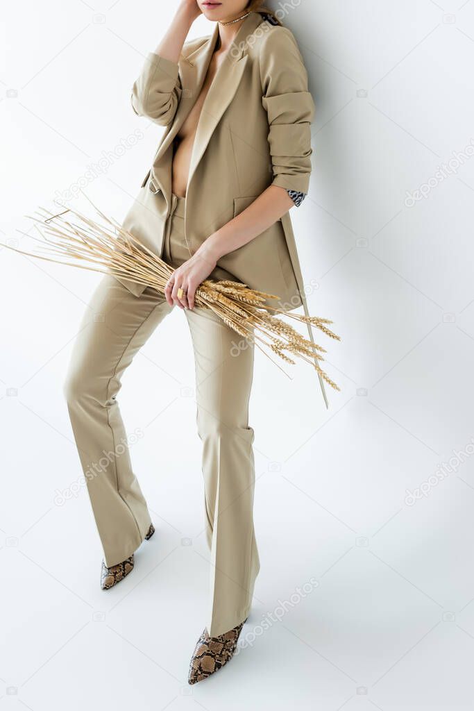 cropped view of young model in beige suit standing while holding wheat on white