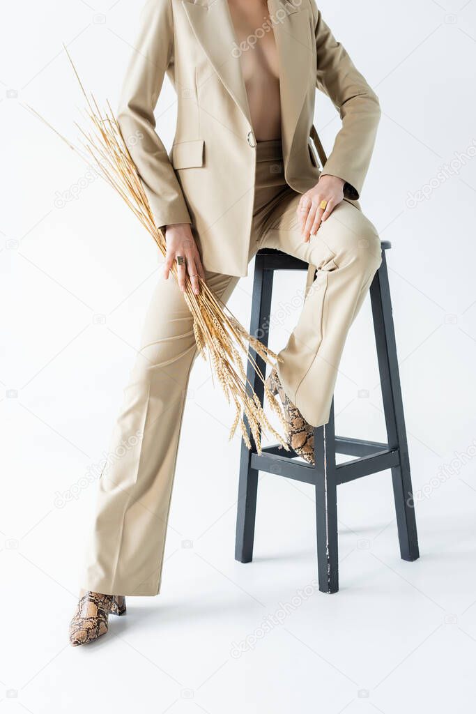 cropped view of sexy model in suit sitting on stool and holding wheat spikelets on white