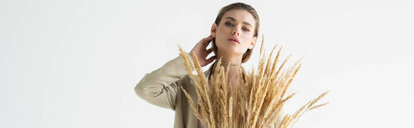 stylish model in beige suit with wheat spikelets posing isolated on white, banner