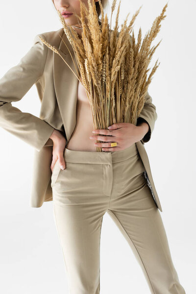 cropped view of sexy model in beige suit with wheat spikelets posing isolated on white 