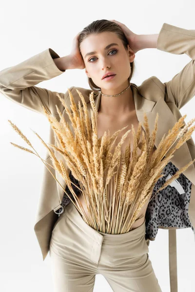 Trendy Young Model Beige Suit Wheat Spikelets Posing Isolated White — Stock Photo, Image