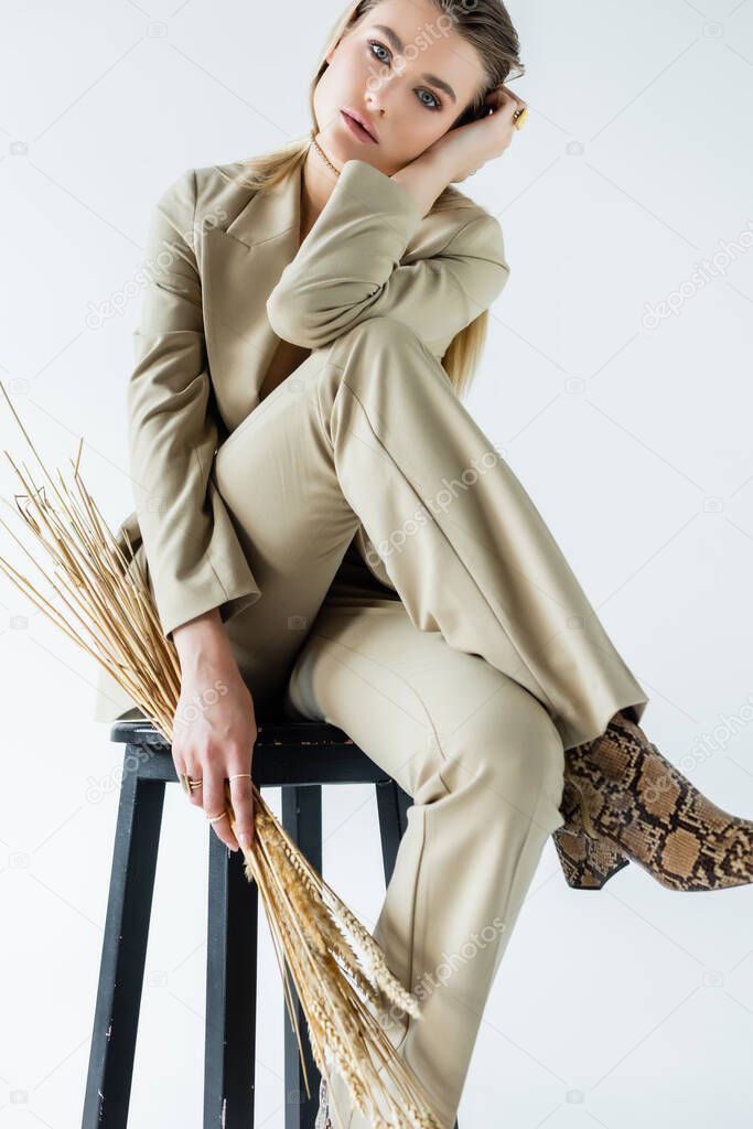 young model in suit sitting on stool and holding wheat spikelets on white