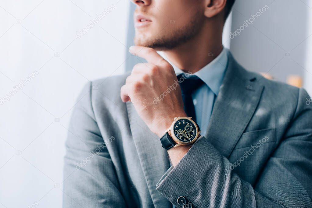 Cropped view of wristwatch on hand of young businessman on blurred background 