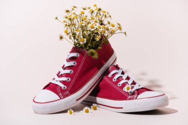 casual red sneakers with chamomile on white background clipart