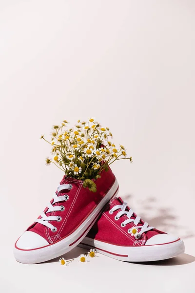 Casual Red Sneakers Chamomile White Background — Stock Photo, Image