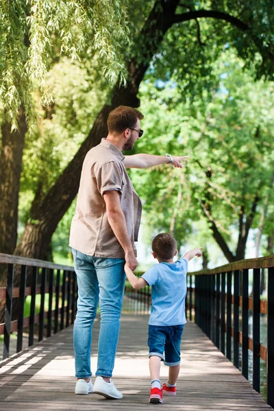 Vue arrière du père et du fils pointant sur quelque chose sur le pont du parc — Photo de stock