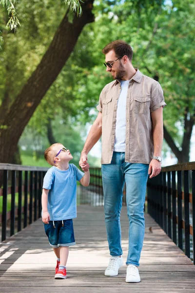 Padre e hijo tomados de la mano y caminando en el puente en el parque - foto de stock
