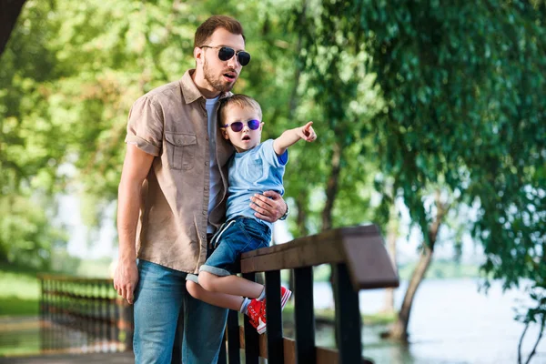 Filho apontando em algo para o pai no parque — Fotografia de Stock