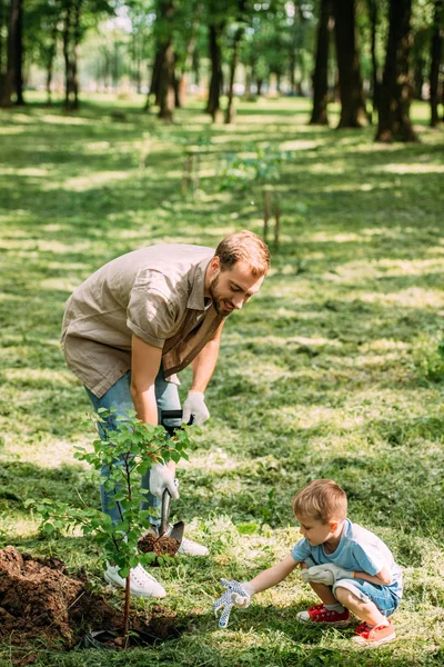 Felice padre e figlio piantare albero con pala al parco — Foto stock