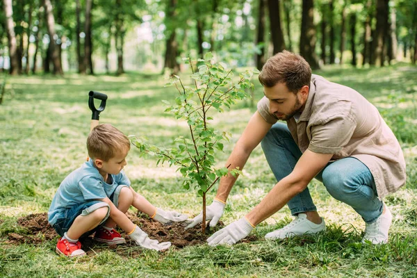 Vue latérale du père et du fils plantant des arbres au parc — Photo de stock