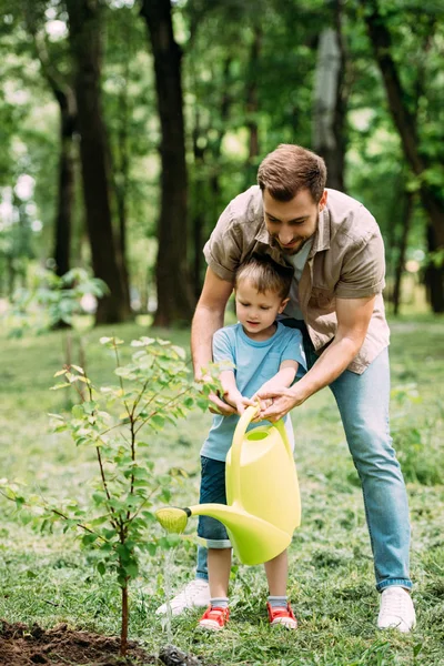 Dad and son watering seedling with watering can at park — Stock Photo