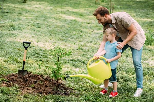 Vista laterale di padre e figlio annaffiamento piantina di semenzaio con annaffiatoio a parco — Foto stock