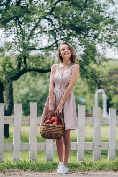 Bella donna sorridente con cesto di vimini con mele mature in campagna — Foto stock