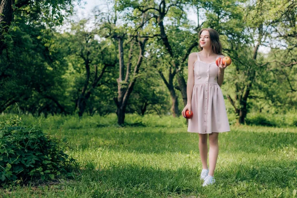 Sonriente joven en vestido con manzanas maduras caminando por el campo - foto de stock