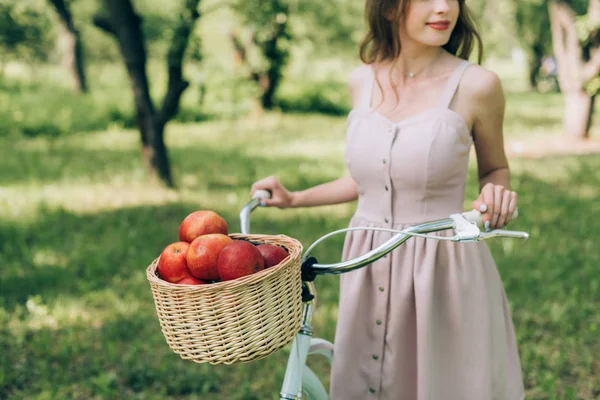 Vista parcial de mujer en vestido sosteniendo bicicleta retro con cesta de mimbre llena de manzanas maduras en el campo - foto de stock