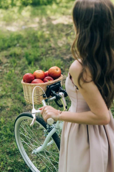 Vista parcial de mujer en vestido sosteniendo bicicleta retro con cesta de mimbre llena de manzanas maduras en el campo - foto de stock
