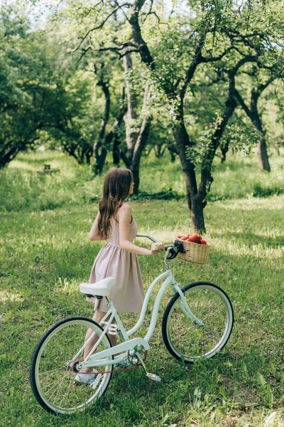 Partial view of young woman in dress holding retro bicycle with wicker basket full of ripe apples at countryside — Stock Photo