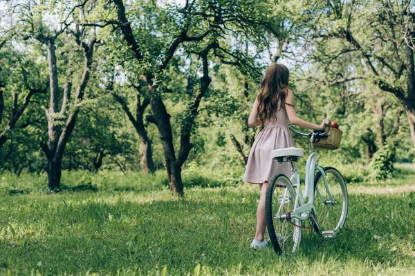 Vista trasera de mujer en vestido sosteniendo bicicleta retro con canasta de mimbre llena de manzanas maduras en el campo - foto de stock