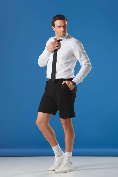 Serious fashionable man in shorts adjusting tie on blue background — Stock Photo