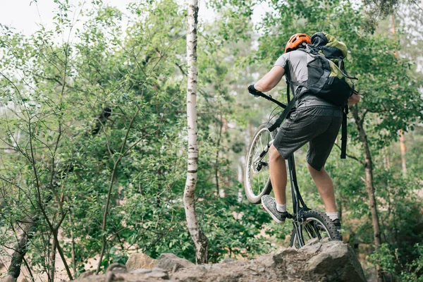 Rear view of male trial biker in protective helmet balancing on back wheel of mountain bike in forest — Stock Photo