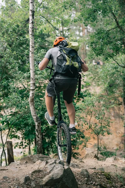 Visão traseira do ciclista extremo masculino no capacete de proteção balanceamento na roda traseira da bicicleta de montanha na floresta — Fotografia de Stock