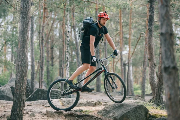 Joven ciclista extremo masculino en casco protector montando en bicicleta de montaña en el bosque - foto de stock