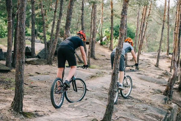 Rear view of male extreme cyclists in protective helmets riding on mountain bicycles in forest — Stock Photo