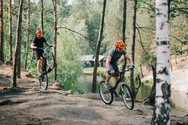 Masculino ciclista extremo no capacete de proteção balanceamento na roda traseira da bicicleta de montanha, enquanto seu amigo andando perto na floresta — Fotografia de Stock