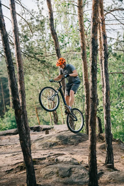 Male extreme cyclist in protective helmet balancing on back wheel of mountain bicycle in forest — Stock Photo