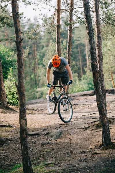Vista frontal del ciclista extremo masculino en casco protector haciendo acrobacias en bicicleta de montaña en el bosque - foto de stock