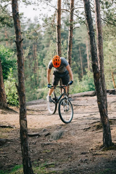 Front view of male extreme cyclist in protective helmet doing stunt on mountain bicycle in forest — Stock Photo