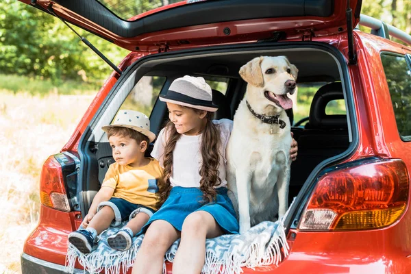 Brother and sister sitting on car trunk with labrador dog — Stock Photo