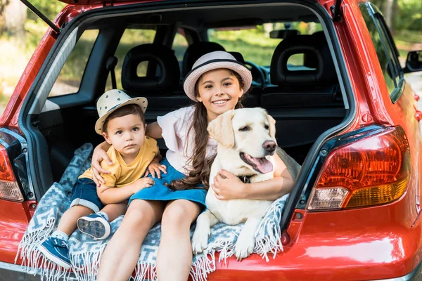 Siblings sitting on car trunk with labrador dog — Stock Photo