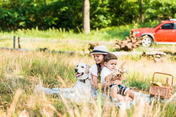 Щасливі брати і сестри, сидячи на ковдрі з собакою-лабрадором — стокове фото