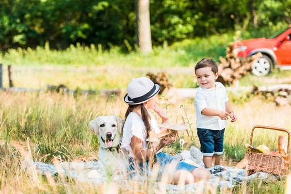 Happy brother and sister playing at picnic — Stock Photo