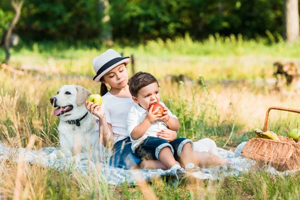 Hermanos felices sentados en la manta en el picnic y comer manzanas - foto de stock