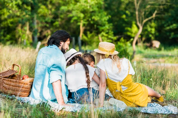 Vista posteriore di genitori e bambini seduti su una coperta al picnic — Foto stock