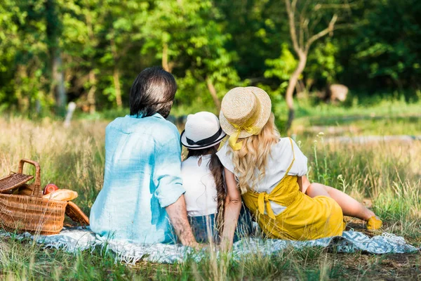 Vista posterior de los padres y la hija sentados en la manta en el picnic - foto de stock