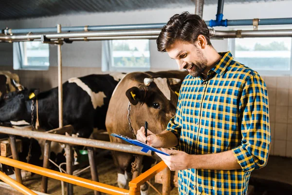 Fazendeiro bonito verificando vacas no estábulo e escrevendo algo à área de transferência — Fotografia de Stock