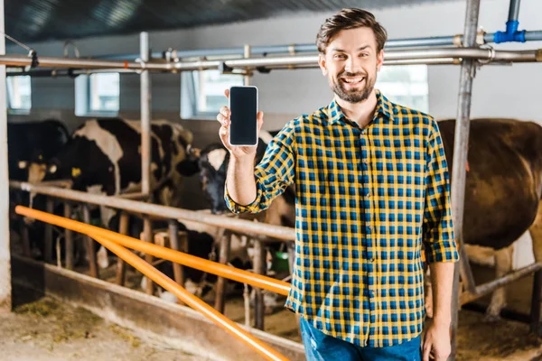 Fazendeiro bonito mostrando smartphone com tela em branco no estábulo — Fotografia de Stock