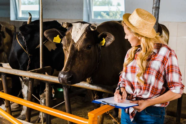 Attractive farmer in straw hat holding clipboard and looking at cows in stable — Stock Photo