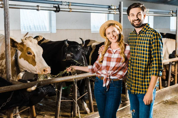 Casal sorridente de agricultores alimentando vacas com feno no estábulo e olhando para a câmera — Fotografia de Stock