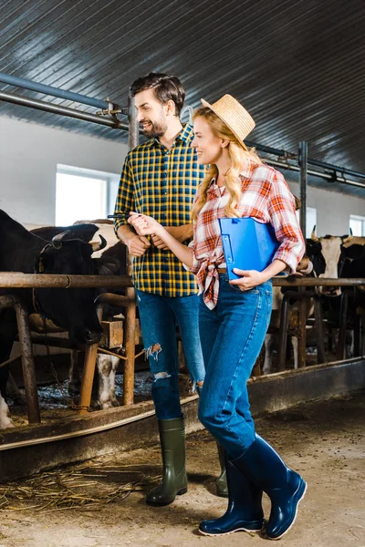 Couple souriant d'agriculteurs vérifiant les vaches dans l'écurie — Photo de stock