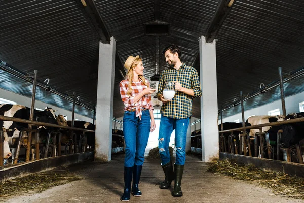 Pareja de agricultores mirándose unos a otros y sosteniendo jarra de leche en establo - foto de stock