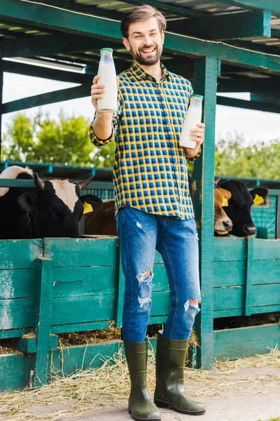 Bonito sorrindo agricultor segurando garrafas de leite de vaca perto estável — Fotografia de Stock