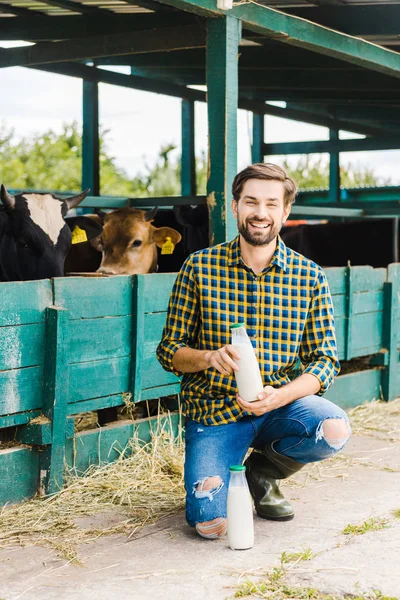 Granjero feliz en cuclillas cerca de establo con vacas y sosteniendo botella de leche - foto de stock