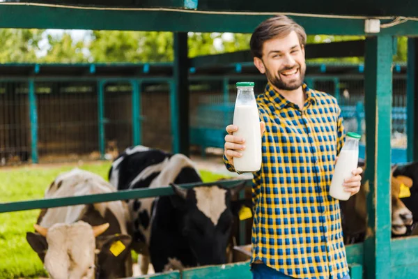 Hermoso sonriente granjero mostrando vaca leche cerca estable - foto de stock