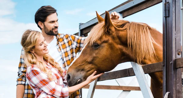 Coppia di allevatori sorridenti che palmano cavallo in stalla — Foto stock