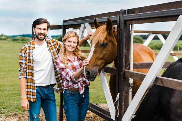 Pareja de rancheros sonrientes palmando caballo en establo y mirando a la cámara - foto de stock